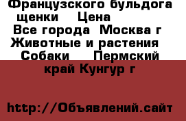 Французского бульдога щенки  › Цена ­ 35 000 - Все города, Москва г. Животные и растения » Собаки   . Пермский край,Кунгур г.